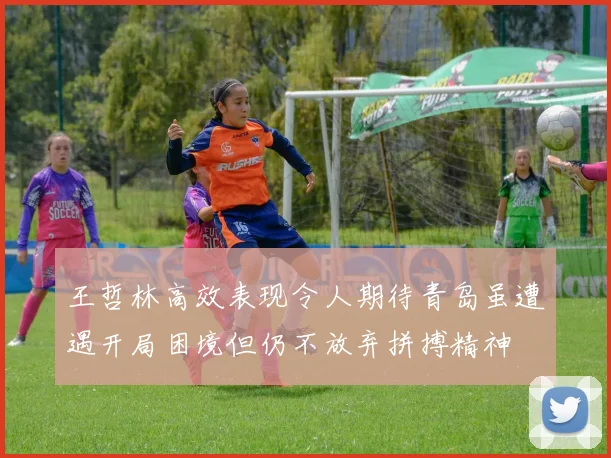 王哲林高效表现令人期待青岛虽遭遇开局困境但仍不放弃拼搏精神