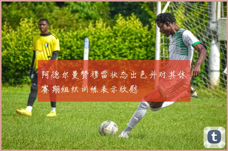 阿德尔曼赞穆雷状态出色并对其休赛期组织训练表示欣慰