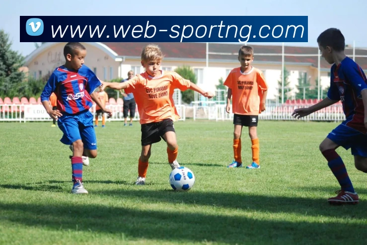 南宫体育发展历程